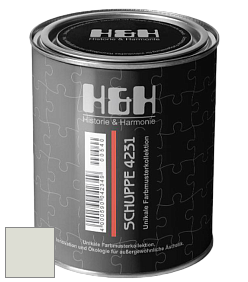 Глубокоматовая краска H&H SCHUPPE цвет RAL 9002 