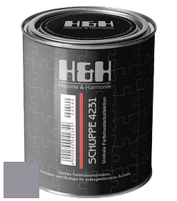 Глубокоматовая краска H&H SCHUPPE цвет NCS S 4010-R50B 