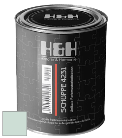 Глубокоматовая краска H&H SCHUPPE цвет NCS S 1010-B90G 