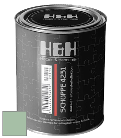 Глубокоматовая краска H&H SCHUPPE цвет NCS S 2020-G10Y 