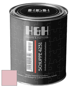 Глубокоматовая краска H&H SCHUPPE цвет NCS S 1020-R10B 