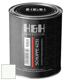 Глубокоматовая краска H&H SCHUPPE цвет RAL 9016 