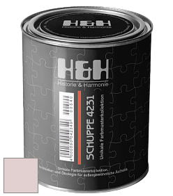 Глубокоматовая краска H&H SCHUPPE цвет NCS S 1010-R10B 