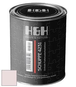Глубокоматовая краска H&H SCHUPPE цвет DRF 1569 