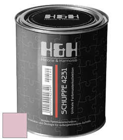 Глубокоматовая краска H&H SCHUPPE цвет NCS S 1020-R20B 