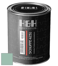 Глубокоматовая краска H&H SCHUPPE цвет NCS S 2020-B90G 