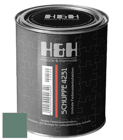 Глубокоматовая краска H&H SCHUPPE цвет NCS S 5020-B90G 