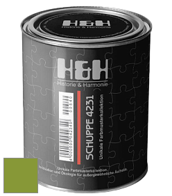 Глубокоматовая краска H&H SCHUPPE цвет NCS S 2070-G40Y 