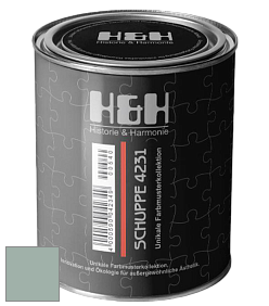 Глубокоматовая краска H&H SCHUPPE цвет NCS S 3010-B90G 