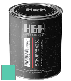 Глубокоматовая краска H&H SCHUPPE цвет NCS S 1050-B80G 