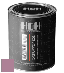 Глубокоматовая краска H&H SCHUPPE цвет NCS S 3030-R30B 