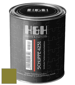 Глубокоматовая краска H&H SCHUPPE цвет NCS S 3560-G60Y 