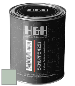 Глубокоматовая краска H&H SCHUPPE цвет NCS S 2010-G10Y 