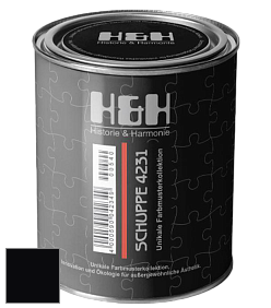 Глубокоматовая краска H&H SCHUPPE цвет RAL 9005 