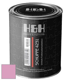 Глубокоматовая краска H&H SCHUPPE цвет NCS S 1040-R30B 