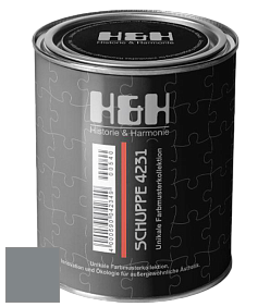 Глубокоматовая краска H&H SCHUPPE цвет DRF 9004 