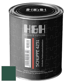 Глубокоматовая краска H&H SCHUPPE цвет RAL 6028 