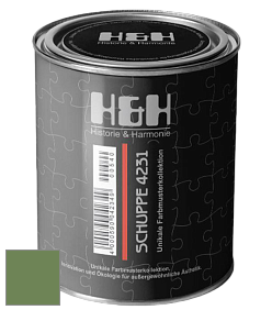 Глубокоматовая краска H&H SCHUPPE цвет NCS S 4040-G30Y 