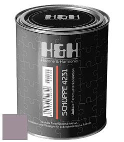 Глубокоматовая краска H&H SCHUPPE цвет NCS S 4010-R30B 