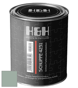 Глубокоматовая краска H&H SCHUPPE цвет NCS S 3010-G 