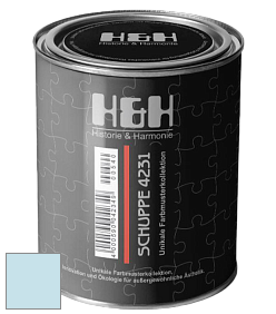 Глубокоматовая краска H&H SCHUPPE цвет NCS S 0515-B 