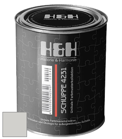Глубокоматовая краска H&H SCHUPPE цвет DRF 8009 