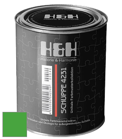 Глубокоматовая краска H&H SCHUPPE цвет RAL 6018 