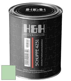 Глубокоматовая краска H&H SCHUPPE цвет RAL 6019 