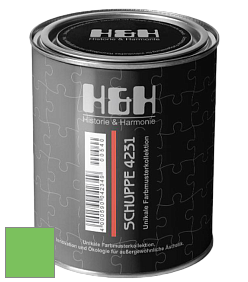 Глубокоматовая краска H&H SCHUPPE цвет NCS S 0570-G20Y 