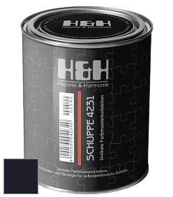 Глубокоматовая краска H&H SCHUPPE цвет RAL 5004 
