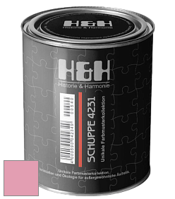 Глубокоматовая краска H&H SCHUPPE цвет NCS S 1040-R20B 