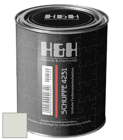 Глубокоматовая краска H&H SCHUPPE цвет NCS S 1005-G30Y 