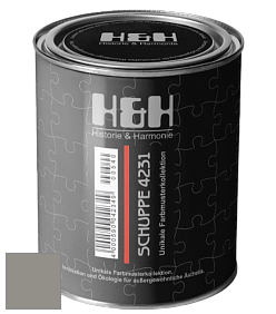 Глубокоматовая краска H&H SCHUPPE цвет DRF 9061 