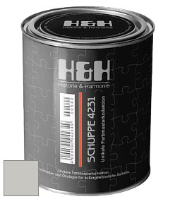 Глубокоматовая краска H&H SCHUPPE цвет DRF 9043 