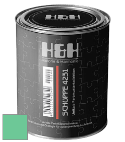 Глубокоматовая краска H&H SCHUPPE цвет NCS S 1050-G 