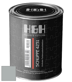 Глубокоматовая краска H&H SCHUPPE цвет DRF 9009 
