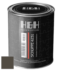 Глубокоматовая краска H&H SCHUPPE цвет NCS S 8005-Y 