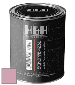 Глубокоматовая краска H&H SCHUPPE цвет DRF 1571 