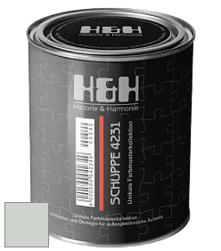 Глубокоматовая краска H&H SCHUPPE цвет RAL 9018 