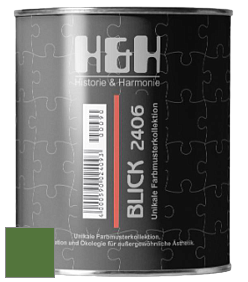 Глубокоматовая краска H&H Blick цвет RAL 6025 