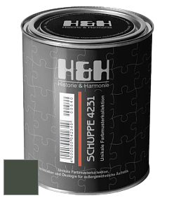 Глубокоматовая краска H&H SCHUPPE цвет NCS S 8010-G30Y 