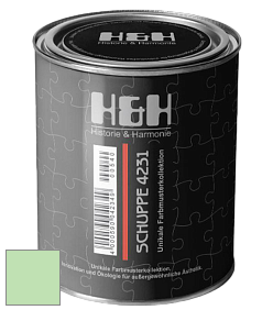 Глубокоматовая краска H&H SCHUPPE цвет NCS S 0530-G20Y 