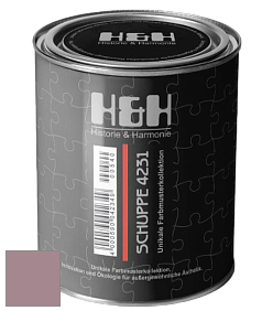 Глубокоматовая краска H&H SCHUPPE цвет DRF 1011 