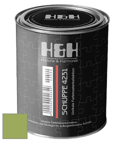 Глубокоматовая краска H&H SCHUPPE цвет NCS S 2050-G40Y 