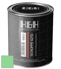 Глубокоматовая краска H&H SCHUPPE цвет NCS S 0550-G10Y 