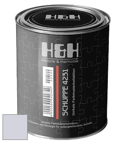 Глубокоматовая краска H&H SCHUPPE цвет NCS S 1010-R60B 