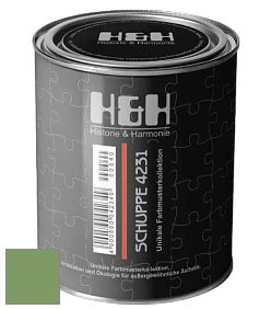 Глубокоматовая краска H&H SCHUPPE цвет NCS S 3040-G30Y 
