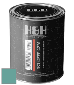 Глубокоматовая краска H&H SCHUPPE цвет NCS S 3030-B60G 