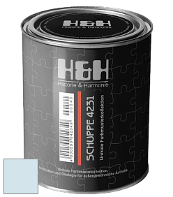 Глубокоматовая краска H&H SCHUPPE цвет NCS S 0510-B 