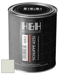Глубокоматовая краска H&H SCHUPPE цвет NCS S 1005-G40Y 